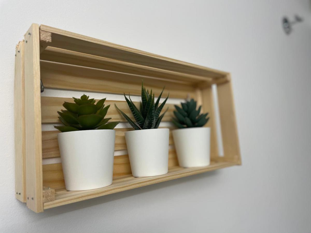 סאלו S_Apartamento מראה חיצוני תמונה